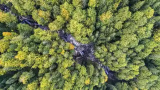One of the last wild rivers in the Balkans