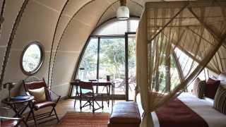 Rooms at Wild Coast Tented Lodge