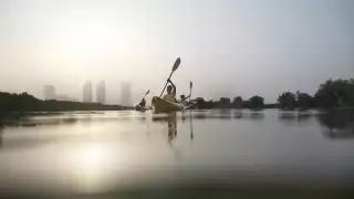 Kayaking in Abu Dhabi's East Mangrove National Park