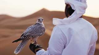 A falconry demonstration in Abu Dhabi's Empty Quarter, UAE