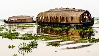 Houseboats in Kerala