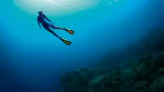 A free diver