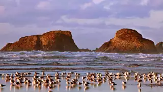 Cannon Beach, Oregon