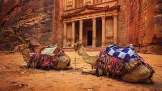 Petra Treasury with camels