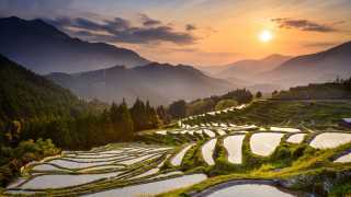 Best adventure holidays | rice fields in Noto, Japan
