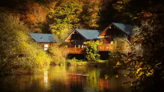 A Forest Holidays cabin