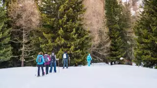 Snowshoe hiking in Valais, Switzerland