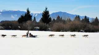 Best ski and snowboard holidays: dog-sledding in Slovakia