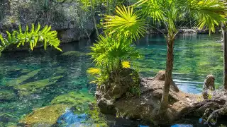 World's Most Awesome Swimming Pools: Cenotes of the Yucátan Peninsula of Mexico