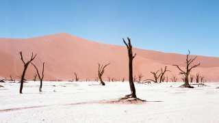 The Skeleton Coast, Namibia