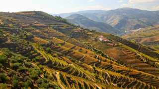 Portugal's Douro Valley