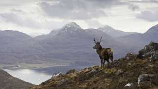 A panoramic view in the Highlands of Scotland