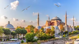 Seagulls flying in front of Istanbul's famous Hagia Sophia