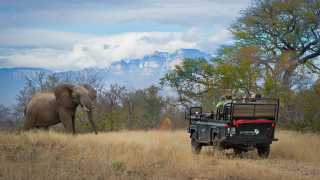 A game drive in the Pridelands concession adjoining Greater Kruger National Park