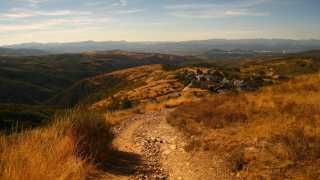 The golden landscape of the Camino Portugues