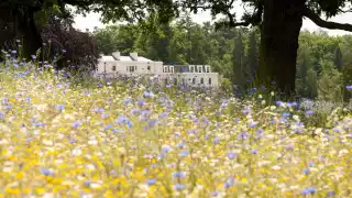 The meadow at Coworth Park