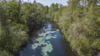 A woman stand-up paddleboarding in Weeki Wachee Springs