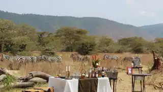 Dining in front of Zebras on SkySafari