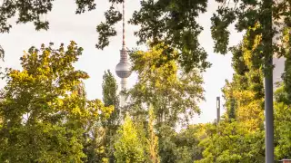 The TV Tower on Alexanderplatz seen from a park