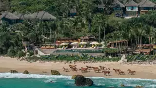 Sumbanese ponies running along Nihiwatu Beach