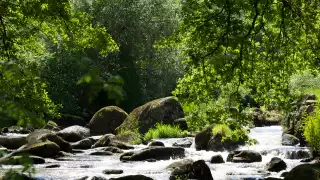 La Vallée des Peintres