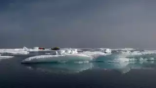 A cruise outing on zodiacs among an ice floe