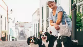 Exchange loving pet care for a place to stay