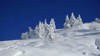 Skiing Mont Blanc