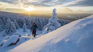 Harz Mountains