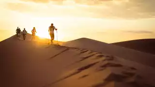 The Sand Dune Sea
