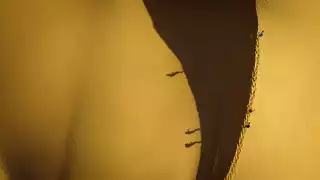 The Sand Dune Sea
