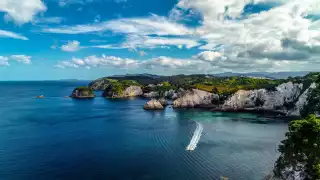 Coromandel