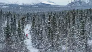 Dog sledding near Fish Lake in the Yukon Territory