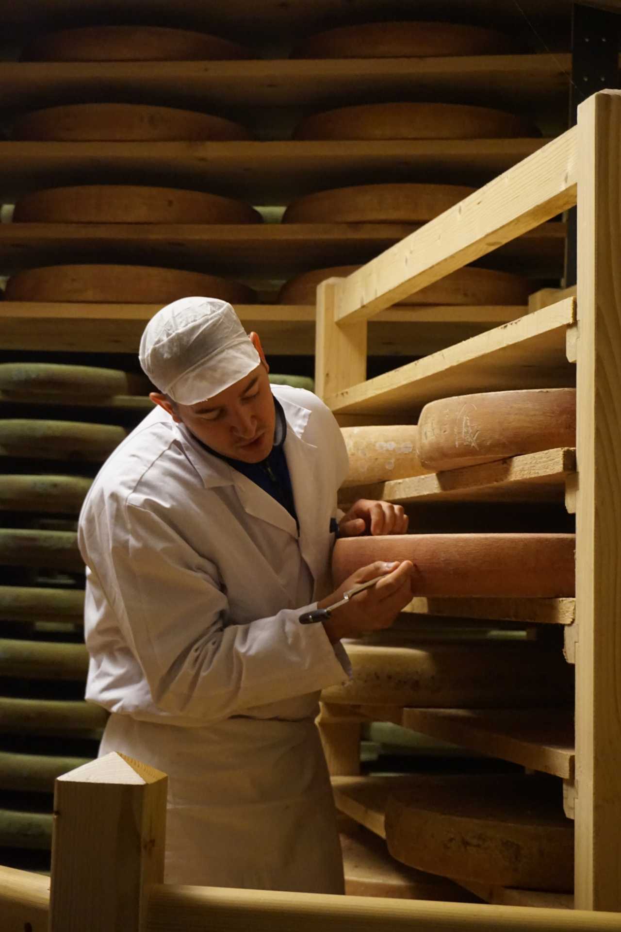 An artisan working on Comte cheese in Jura, France