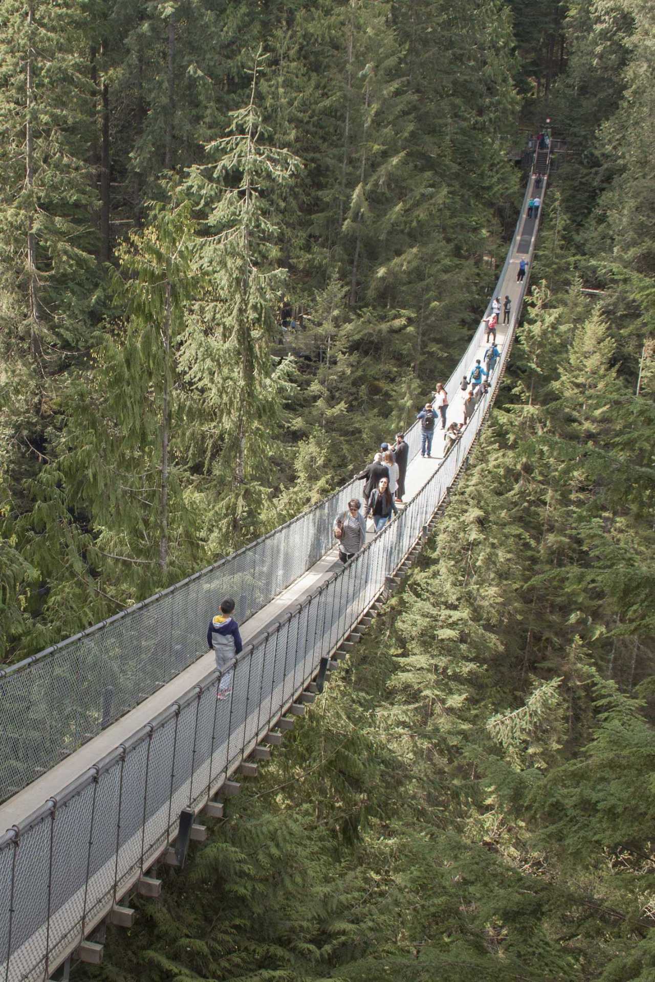 Best city breaks: Capilano suspension bridge in Vancouver, Canada