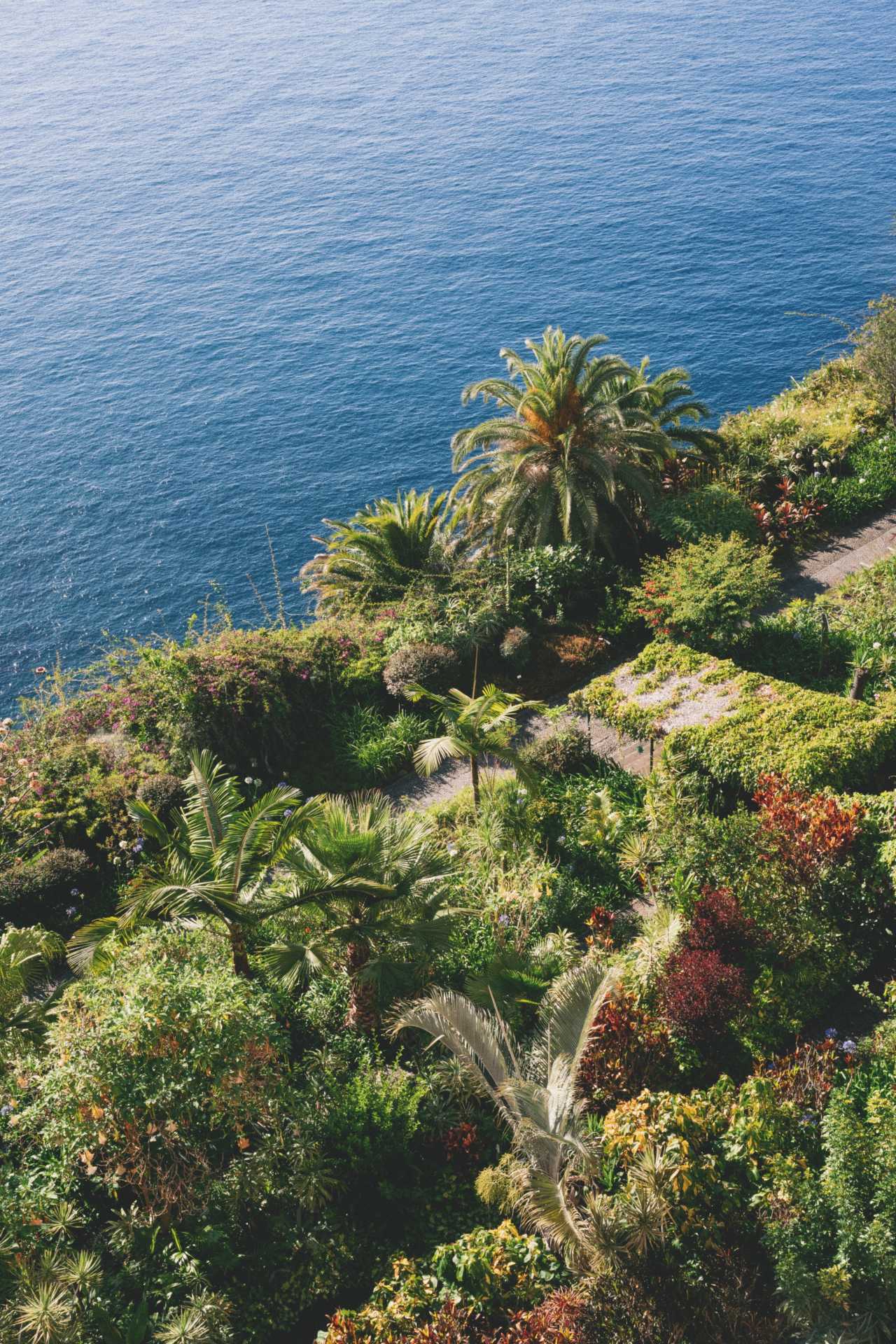 Cliffside foliage above the water