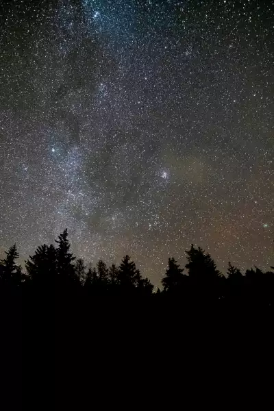 Dark skies within Galloway Forest Park, Scotland