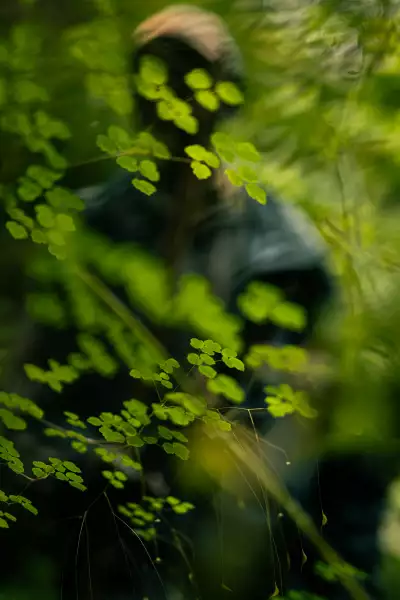 In spite of being evicted from the forest, Batwa guide Echuya is an endless source of knowledge and wisdom on the region&rsquo;s plant species
