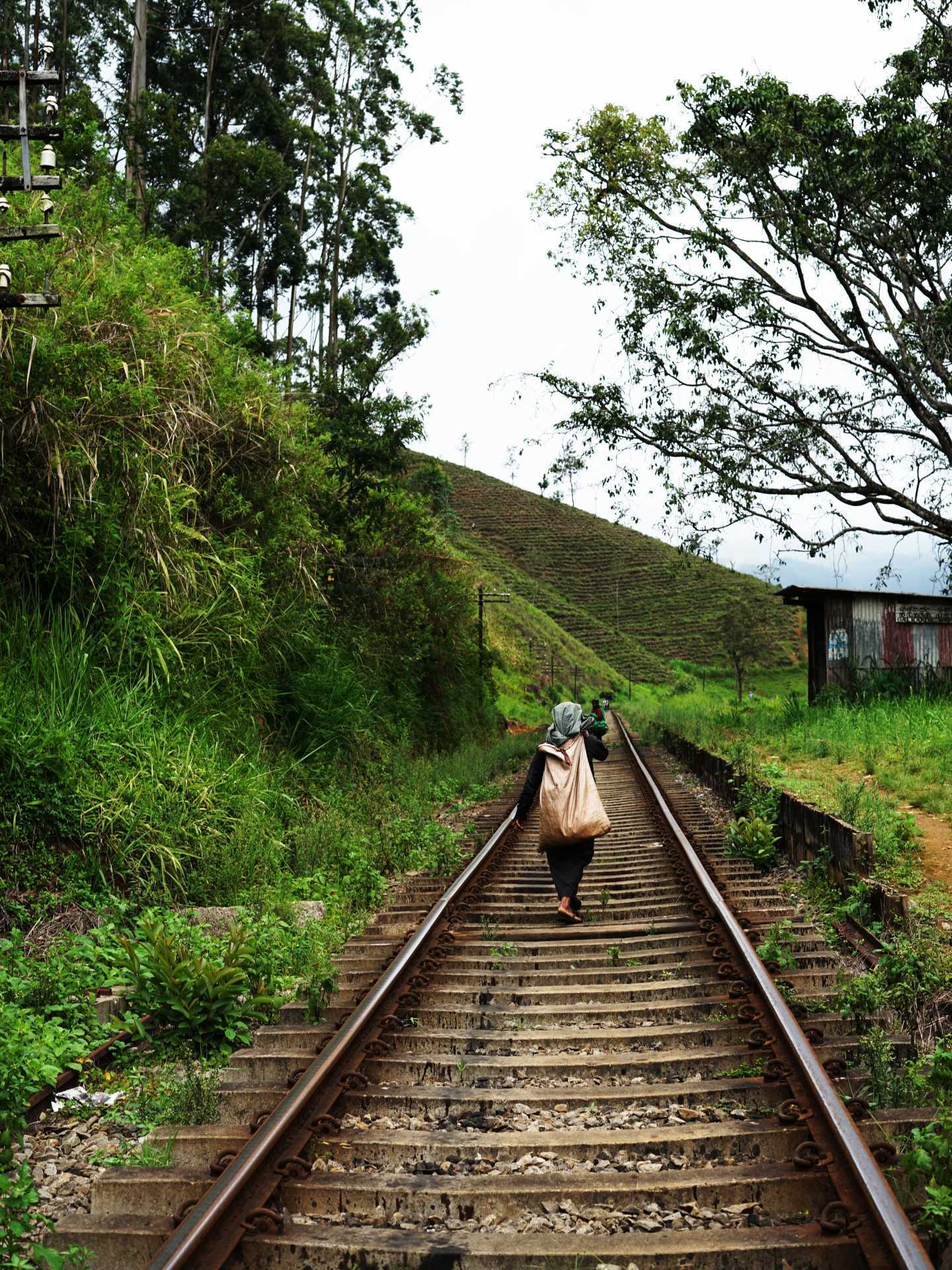 A women carries a sack of tea leaves walking along railway tracks captured on the Pekoe Trail