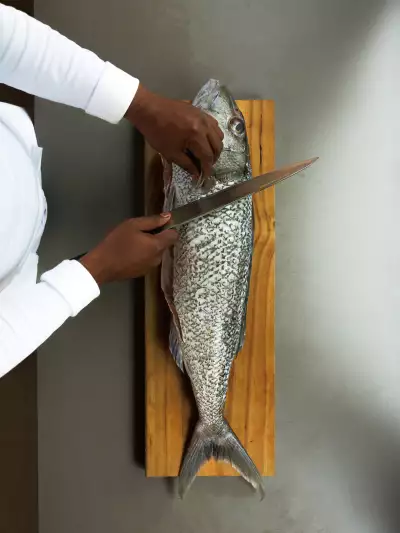 A fish