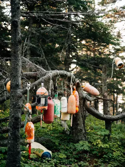 Weathered lobster buoys hang from a pine branch beside the Coastal Trail, en route to Cutler&rsquo;s dramatic Bold Coast