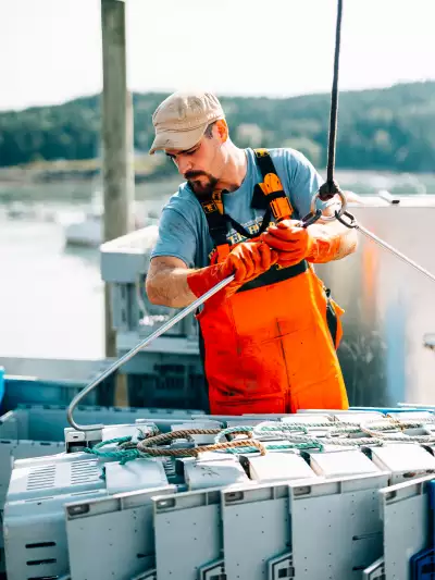 A lobsterman works the dock in Cutler Harbor, hauling gear in a working waterfront, where the lobster industry shapes daily life