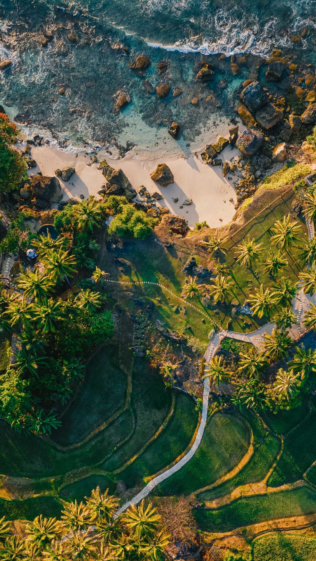 A soft sand beach encircled by palm trees in Nihi Oka Valley