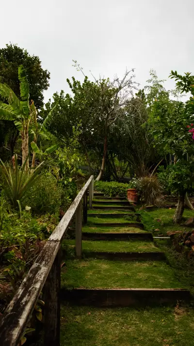 The garden at I-TAL
