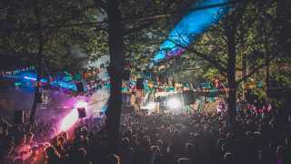 Farr Festival is set in a forest in Hertfordshire