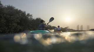 Kayaking in Abu Dhabi's East Mangrove National Park