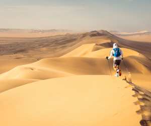Running a dune crest in the Namib Desert