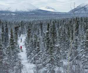 Dog sledding near Fish Lake in the Yukon Territory