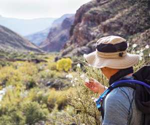 Hiking the Grand Canyon rim to rim