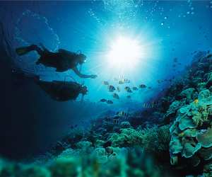Diving at Sandals